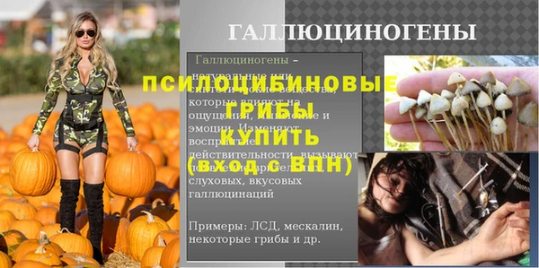 spice Абаза