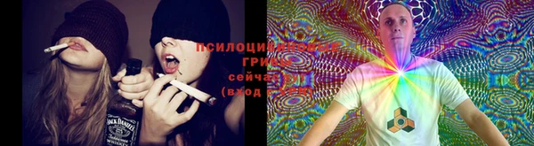 мефедрон Приозерск