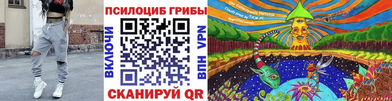 Псилоцибиновые грибы Magic Shrooms  KRAKEN сайт  Алейск 